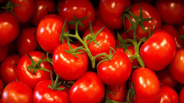 Ukrayna bir kez daha domatesleri geri iade etti