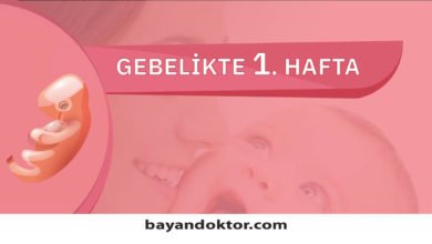 1. Hafta Gebelik – Hafta Hafta Hamilelik