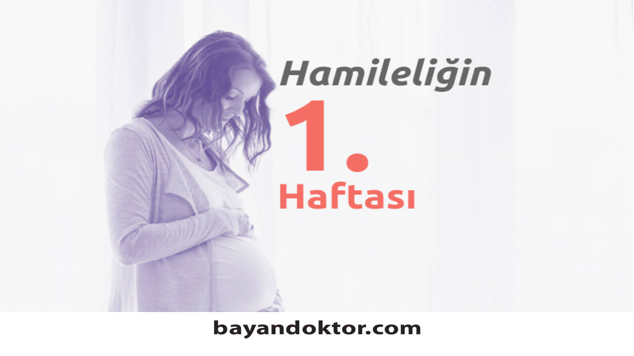 1. Hafta Gebelik – Hafta Hafta Hamilelik