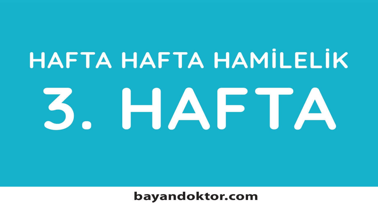 3. Hafta Gebelik – Hafta Hafta Hamilelik