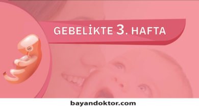 3. Hafta Gebelik – Hafta Hafta Hamilelik