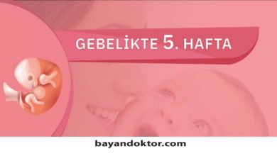 5. Hafta Gebelik – Hafta Hafta Hamilelik