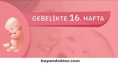 16. Hafta Gebelik – Hafta Hafta Hamilelik