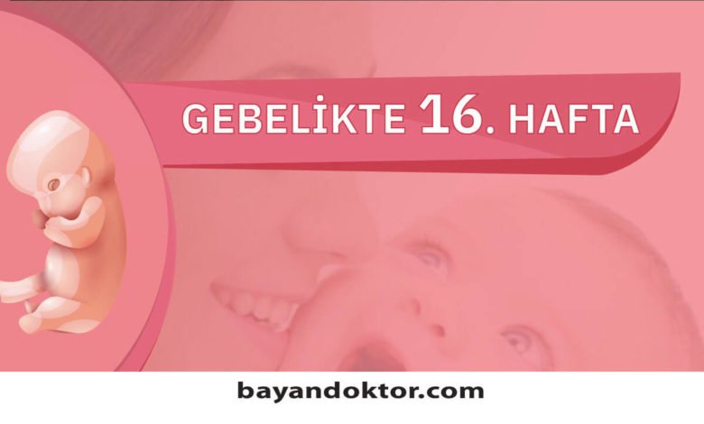 16. Hafta Gebelik – Hafta Hafta Hamilelik