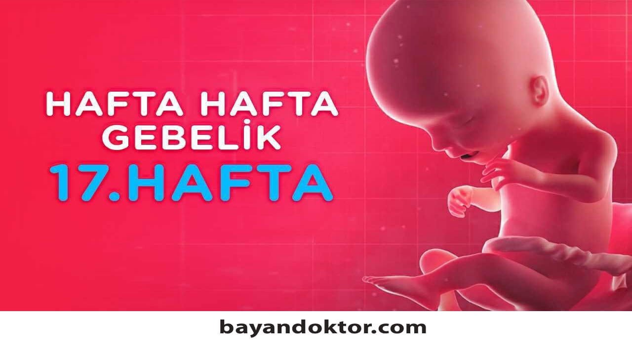 17. Hafta Gebelik – Hafta Hafta Hamilelik