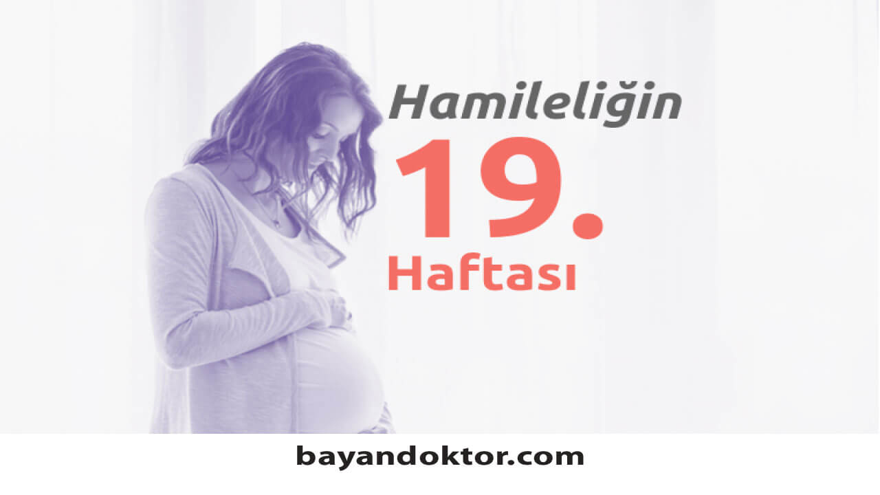 19. Hafta Gebelik – Hafta Hafta Hamilelik