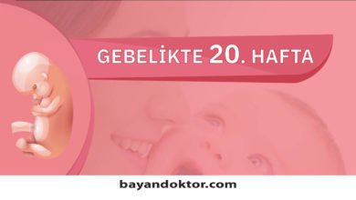 20. Hafta Gebelik – Hafta Hafta Hamilelik