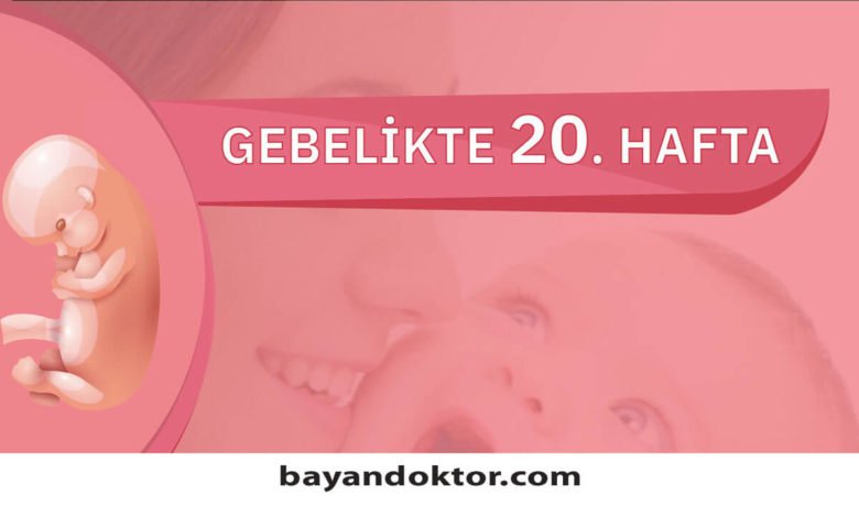 20. Hafta Gebelik – Hafta Hafta Hamilelik