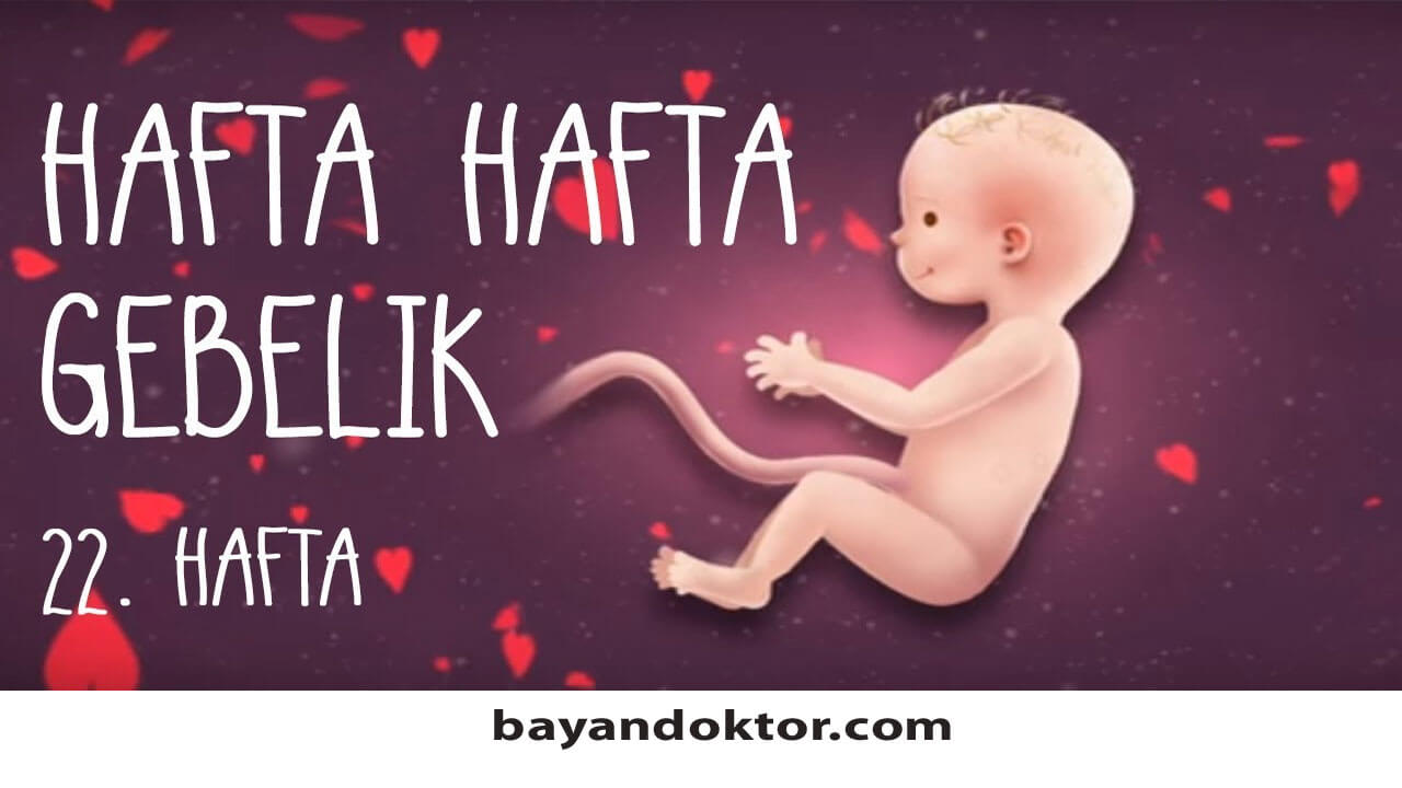 22. Hafta Gebelik – Hafta Hafta Hamilelik