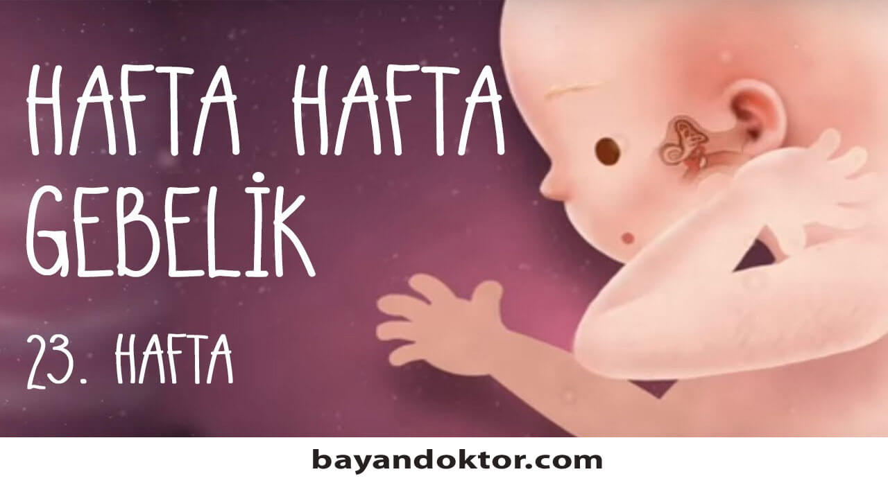 23. Hafta Gebelik – Hafta Hafta Hamilelik