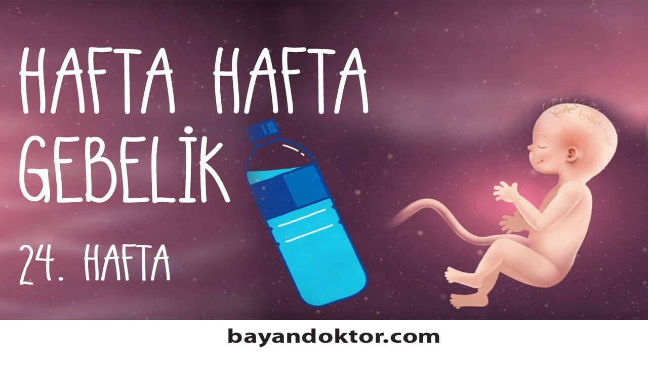 24. Hafta Gebelik – Hafta Hafta Hamilelik