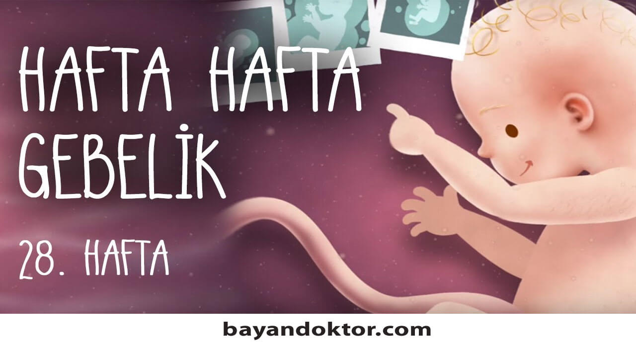 28. Hafta Gebelik – Hafta Hafta Hamilelik