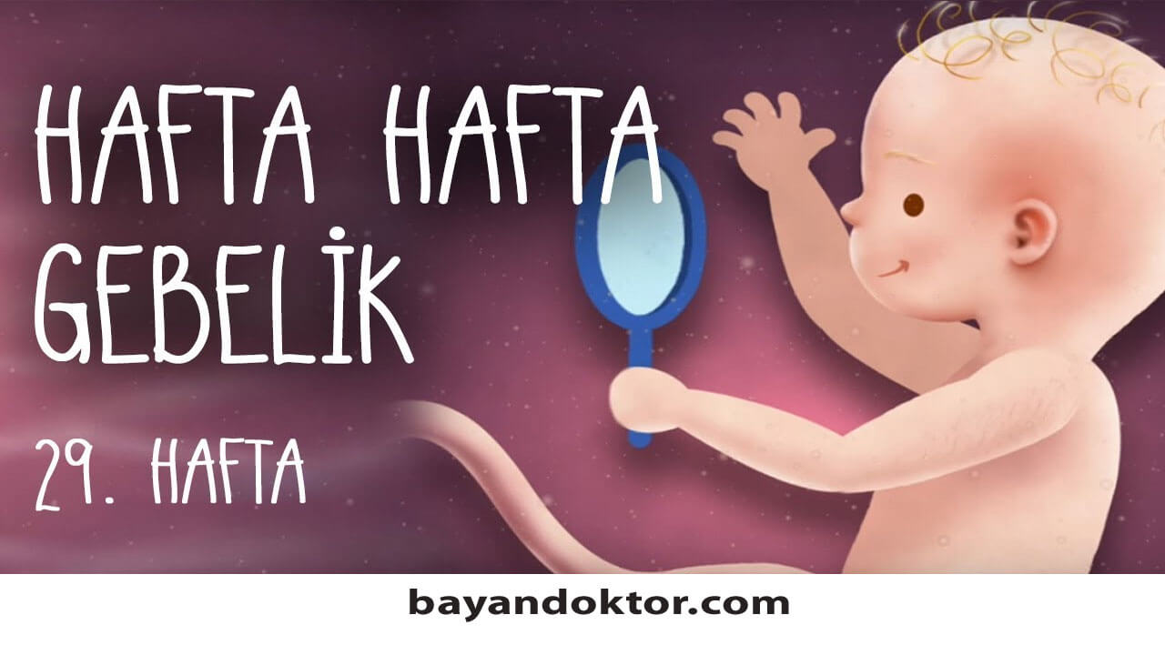 29. Hafta Gebelik – Hafta Hafta Hamilelik