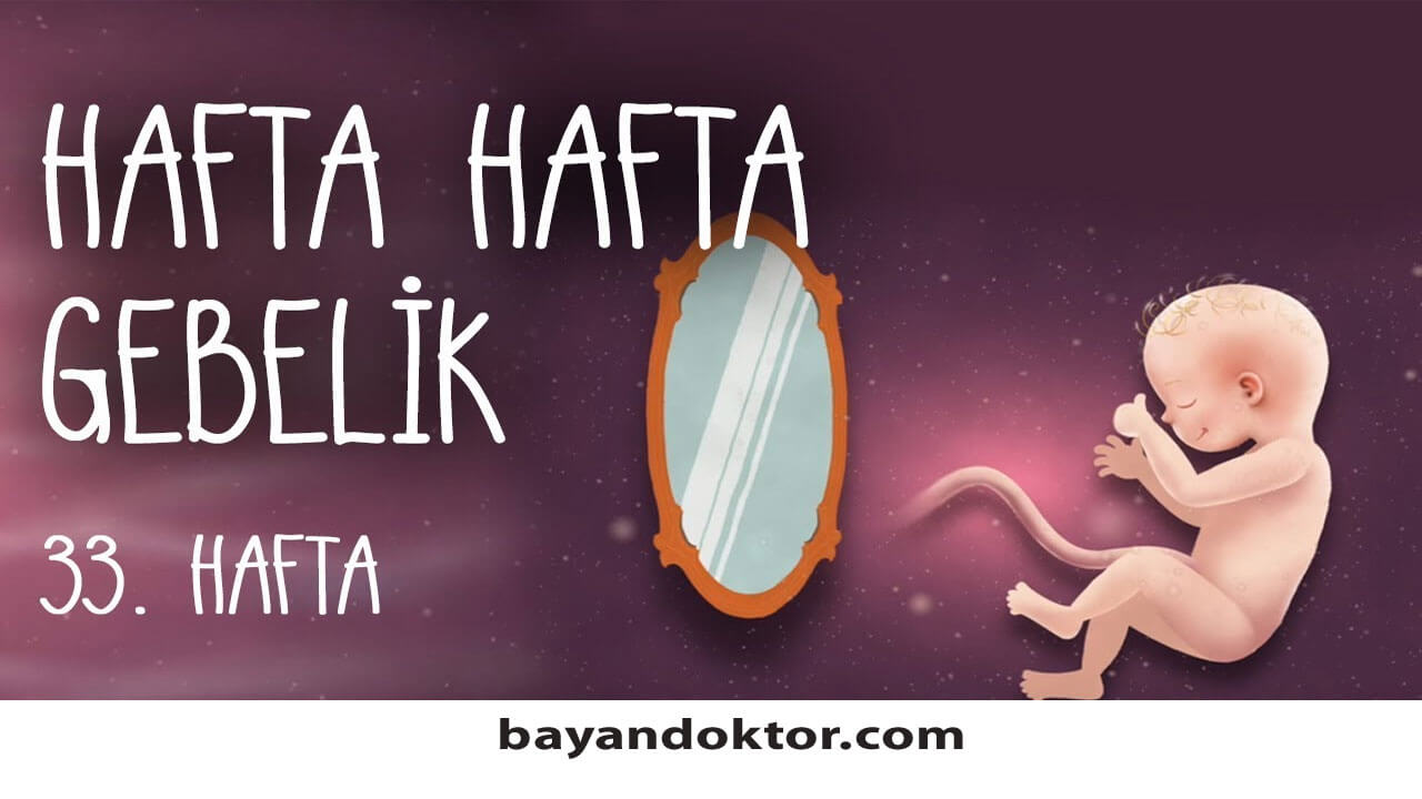 33. Hafta Gebelik – Hafta Hafta Hamilelik