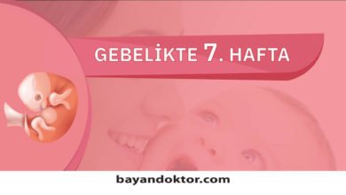 7. Hafta Gebelik – Hafta Hafta Hamilelik