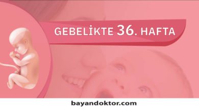 36. Hafta Gebelik – Hafta Hafta Hamilelik