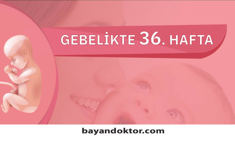 36. Hafta Gebelik – Hafta Hafta Hamilelik