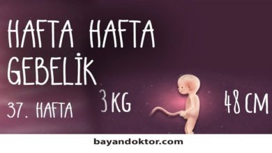 37. Hafta Gebelik – Hafta Hafta Hamilelik