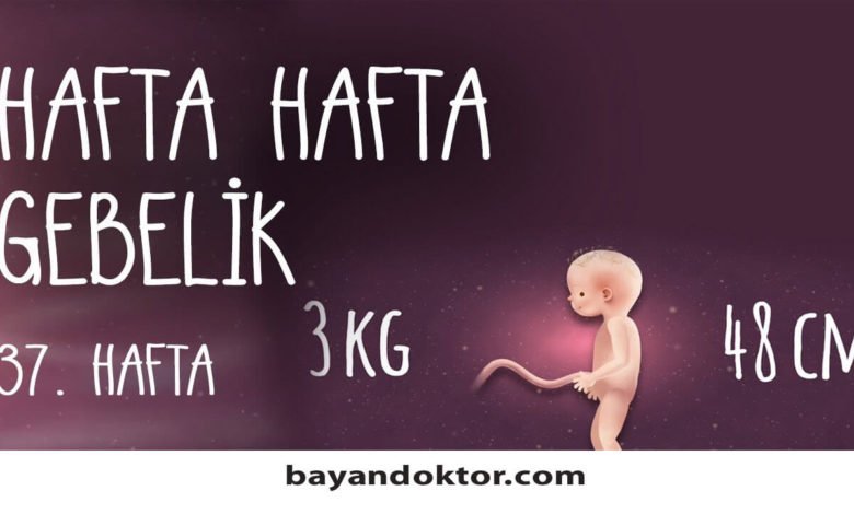 37. Hafta Gebelik – Hafta Hafta Hamilelik