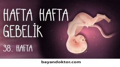 38. Hafta Gebelik – Hafta Hafta Hamilelik