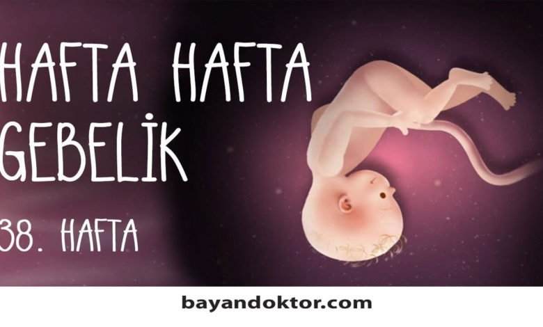 38. Hafta Gebelik – Hafta Hafta Hamilelik