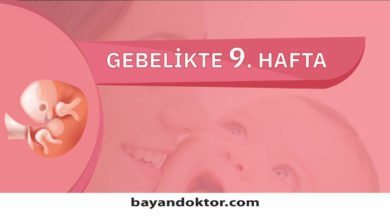 9. Hafta Gebelik – Hafta Hafta Hamilelik