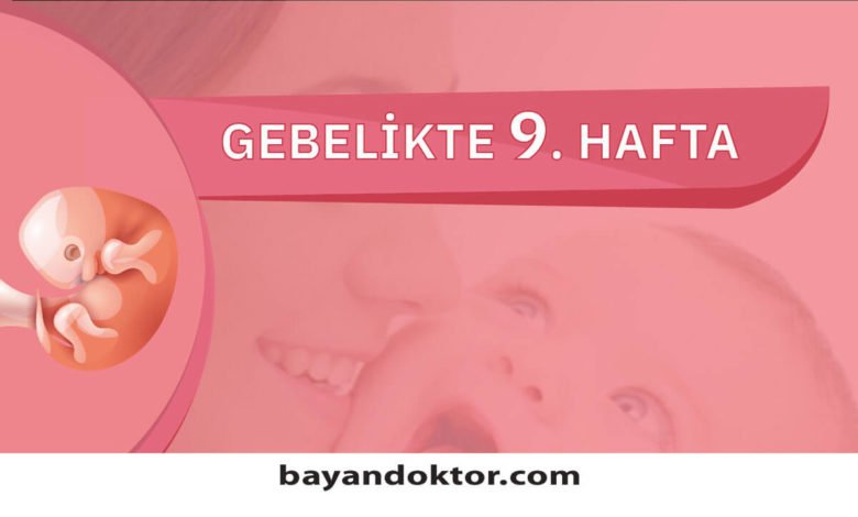 9. Hafta Gebelik – Hafta Hafta Hamilelik