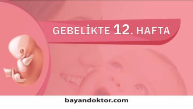 12. Hafta Gebelik – Hafta Hafta Hamilelik