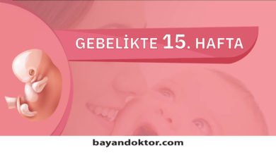 15. Hafta Gebelik – Hafta Hafta Hamilelik