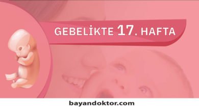 17. Hafta Gebelik – Hafta Hafta Hamilelik