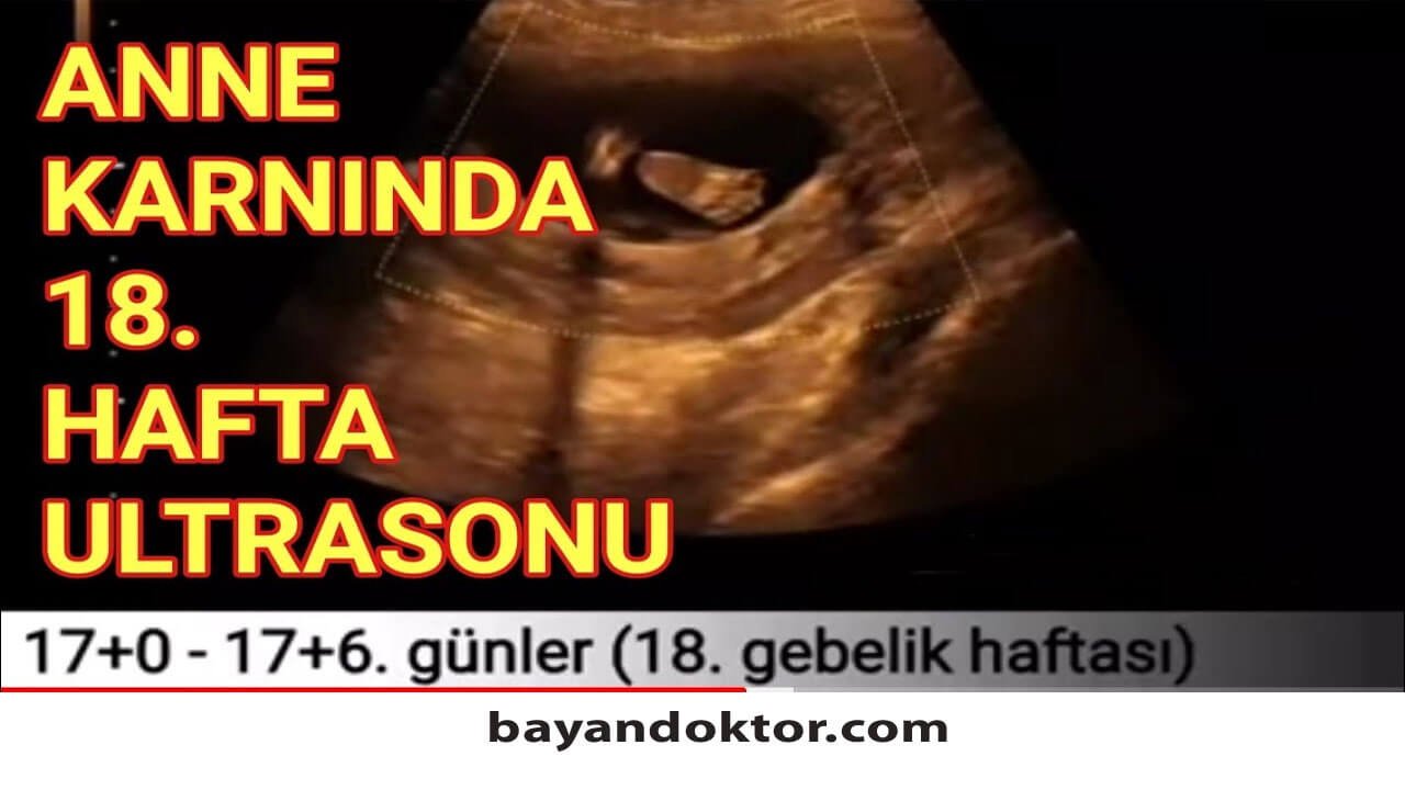 18. Hafta Gebelik – Hafta Hafta Hamilelik