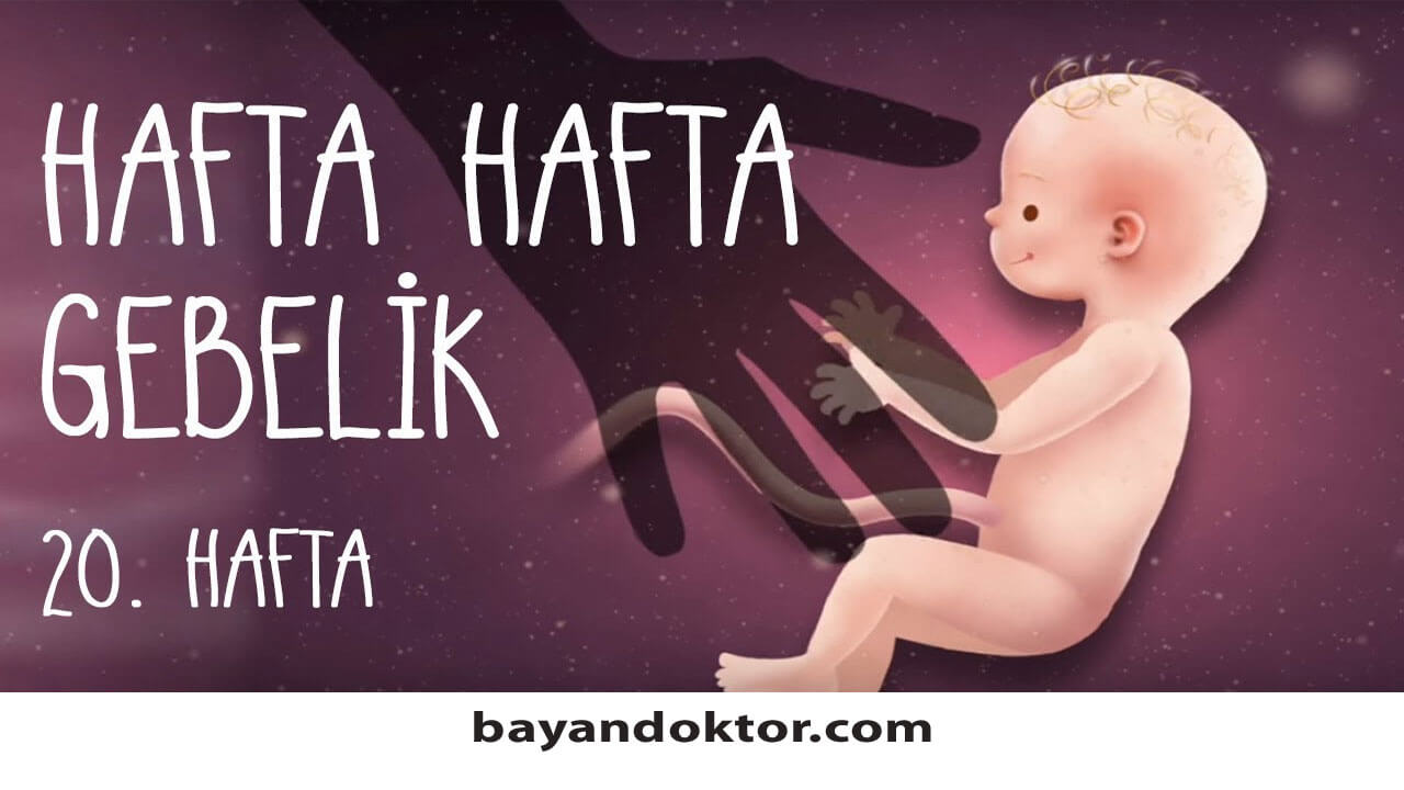 20. Hafta Gebelik – Hafta Hafta Hamilelik