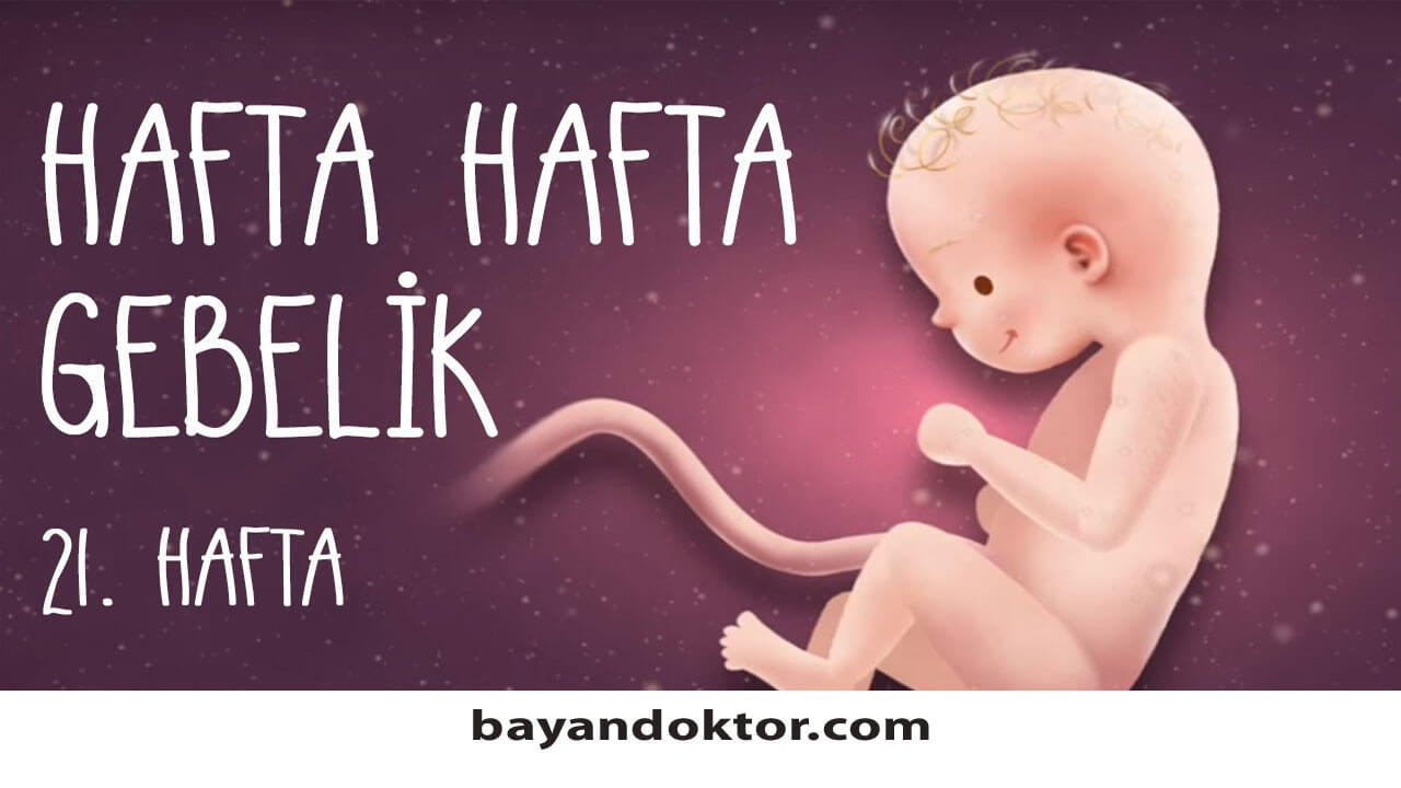 21. Hafta Gebelik – Hafta Hafta Hamilelik