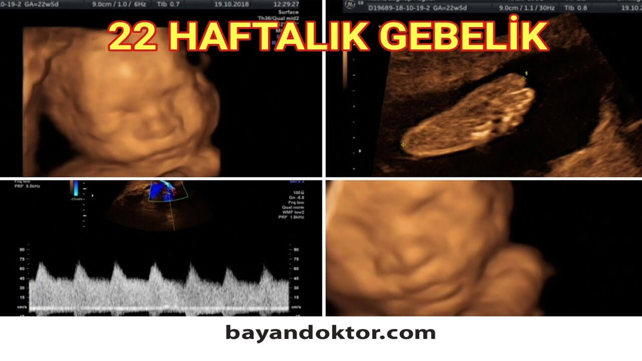 22. Hafta Gebelik – Hafta Hafta Hamilelik