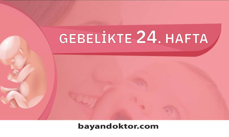 24 hafta gebelik hafta hafta hamilelik bayan doktor