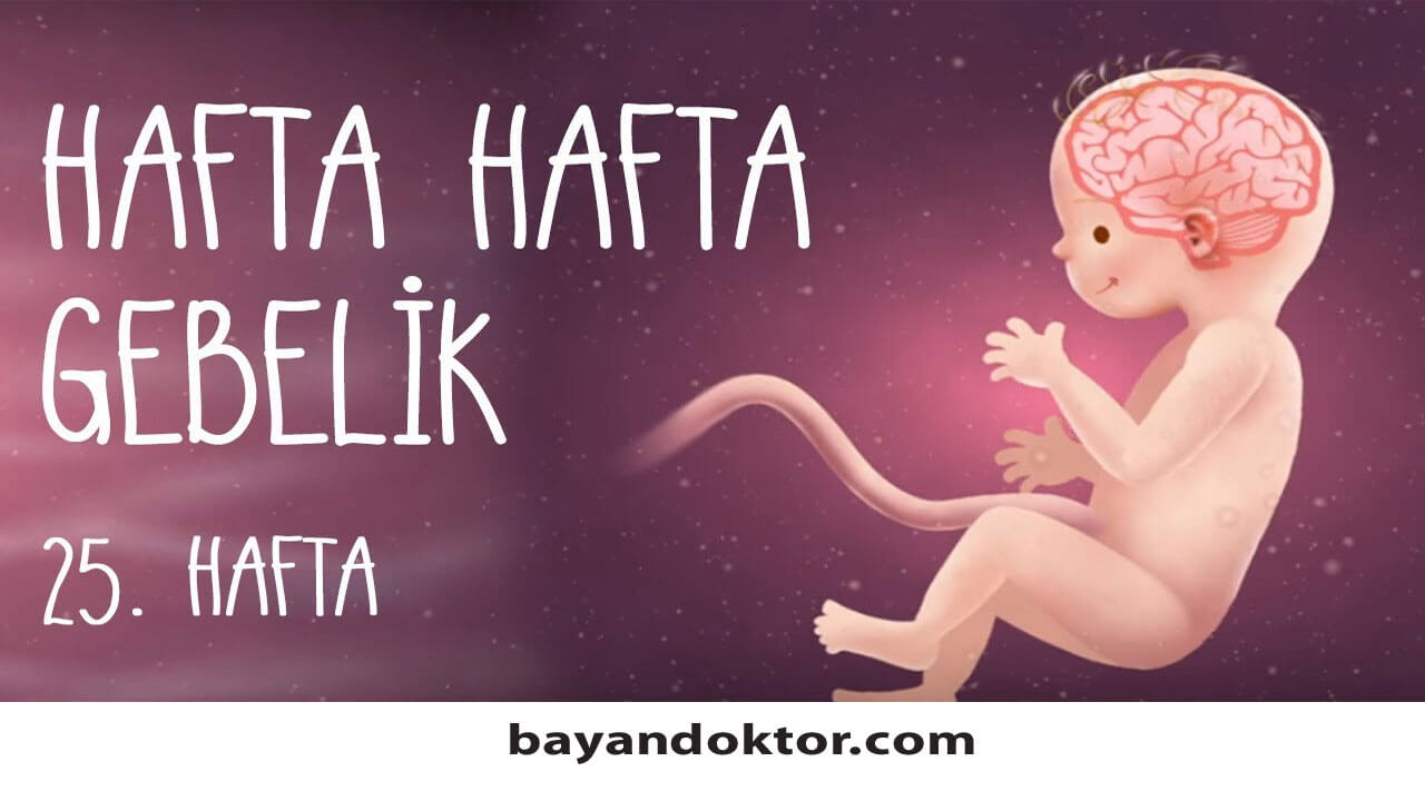 25. Hafta Gebelik – Hafta Hafta Hamilelik