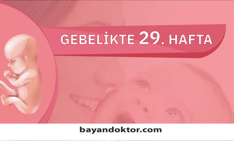 29. Hafta Gebelik – Hafta Hafta Hamilelik