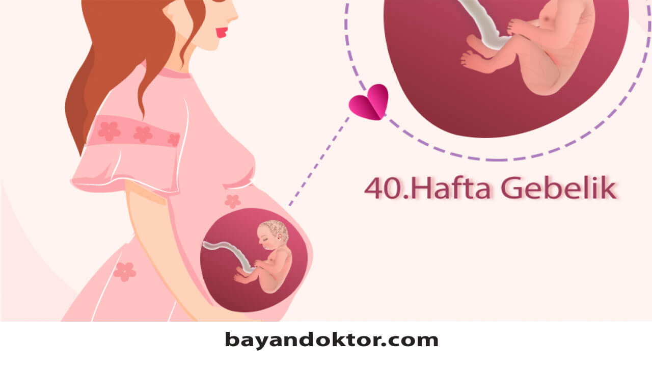 40. Hafta Gebelik – Hafta Hafta Hamilelik