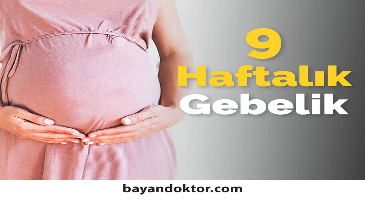 9. Hafta Gebelik – Hafta Hafta Hamilelik