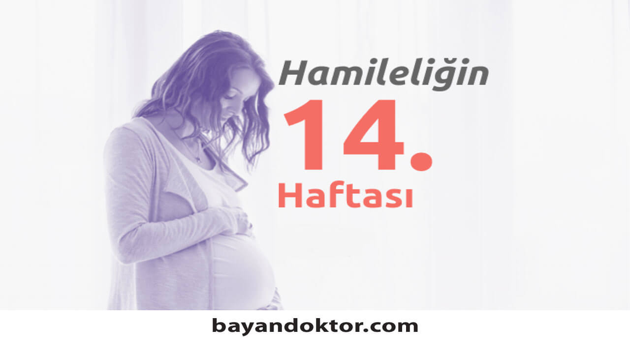 14. Hafta Gebelik – Hafta Hafta Hamilelik