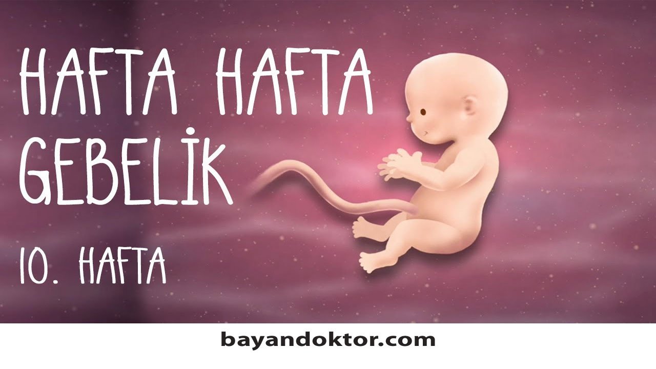 10. Hafta Gebelik – Hafta Hafta Hamilelik