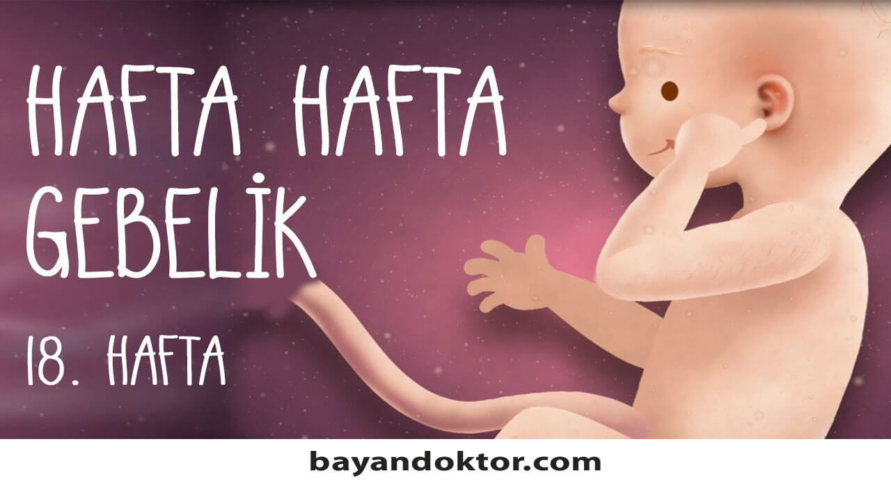 18. Hafta Gebelik – Hafta Hafta Hamilelik