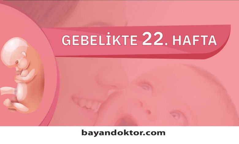 22. Hafta Gebelik – Hafta Hafta Hamilelik