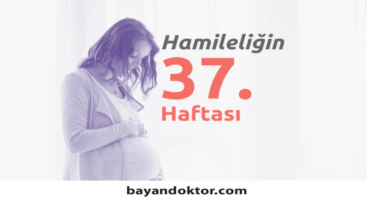 37. Hafta Gebelik – Hafta Hafta Hamilelik