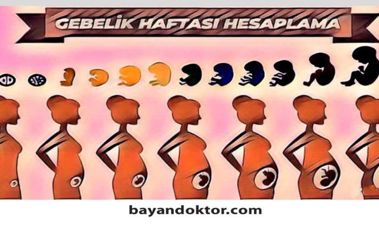 Son Adet Tarihi Bilinmiyorsa Gebelik Haftası Nasıl Hesaplanır?