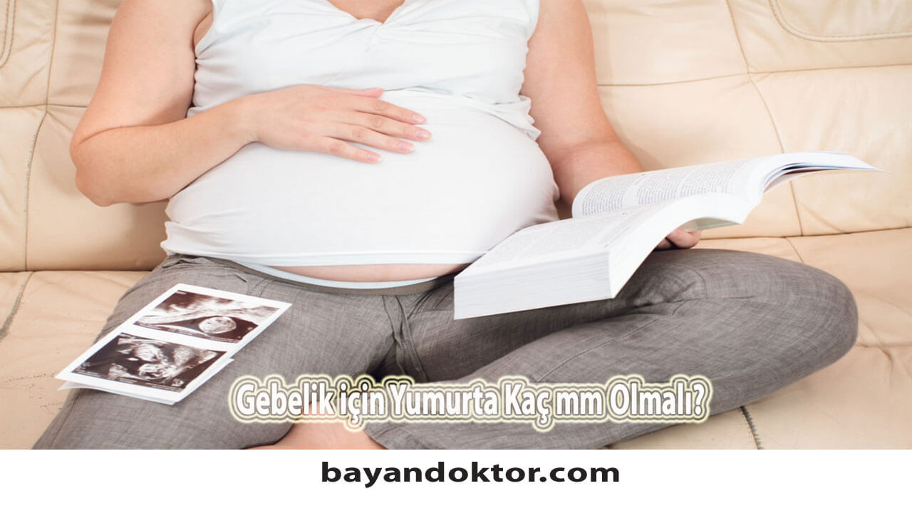 Gebelik için Yumurta Kaç mm Olmalı?