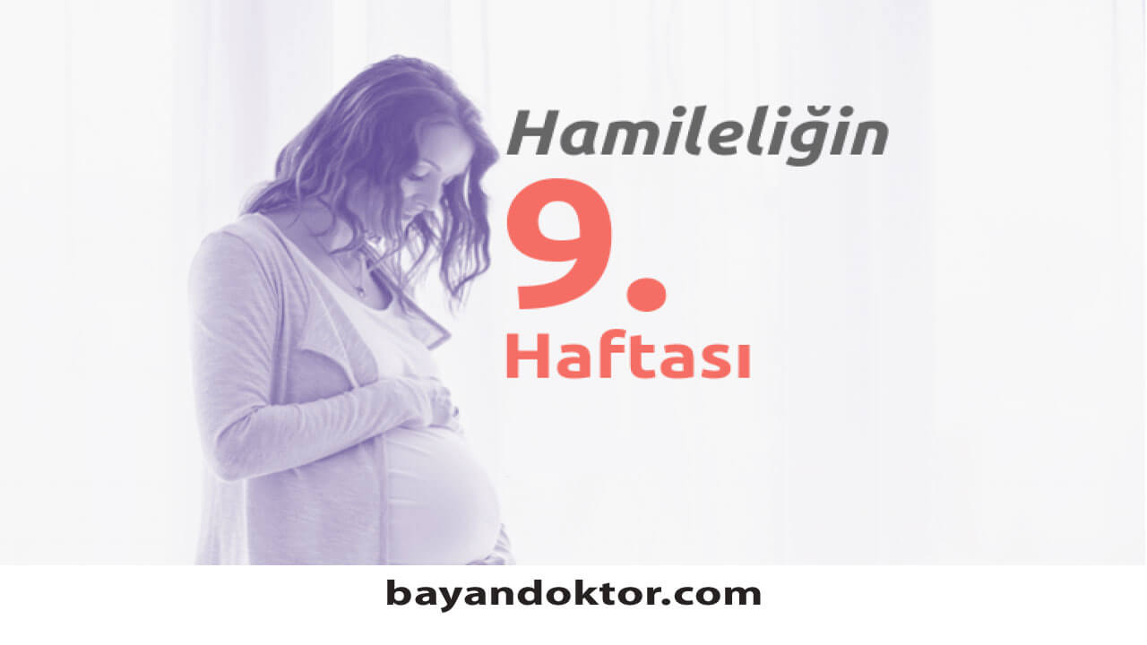 9. Hafta Gebelik – Hafta Hafta Hamilelik