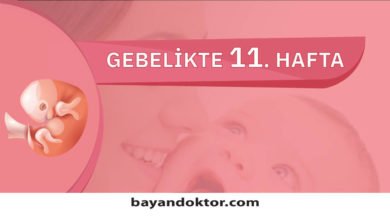 11. Hafta Gebelik – Hafta Hafta Hamilelik