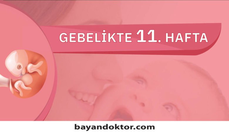 11. Hafta Gebelik – Hafta Hafta Hamilelik