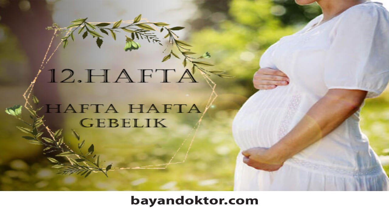 12. Hafta Gebelik – Hafta Hafta Hamilelik